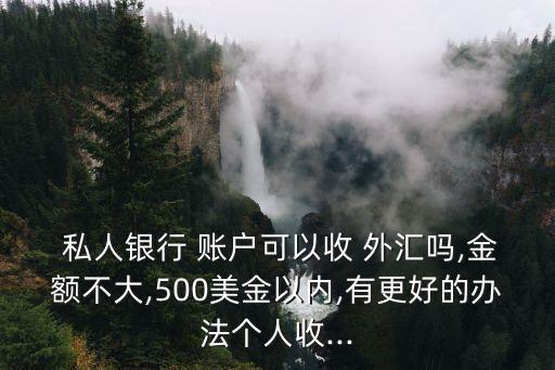  私人銀行 賬戶可以收 外匯嗎,金額不大,500美金以內(nèi),有更好的辦法個(gè)人收...
