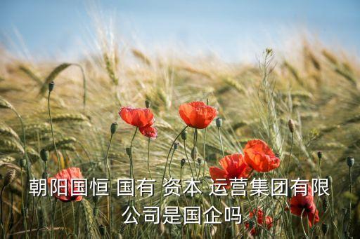 朝陽國恒 國有 資本 運(yùn)營集團(tuán)有限 公司是國企嗎