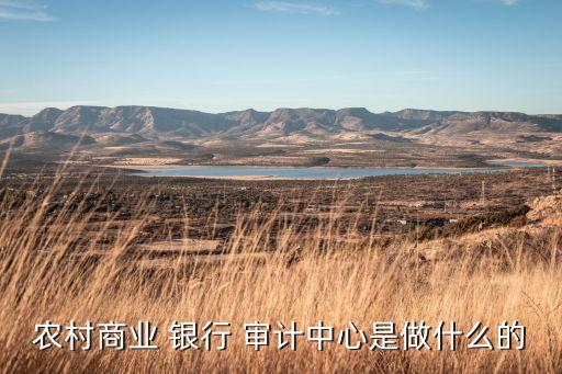 銀行審計(jì)網(wǎng),銀行的審計(jì)部門(mén)累嗎