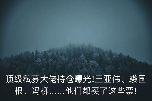 頂級私募大佬持倉曝光!王亞偉、裘國根、馮柳……他們都買了這些票!