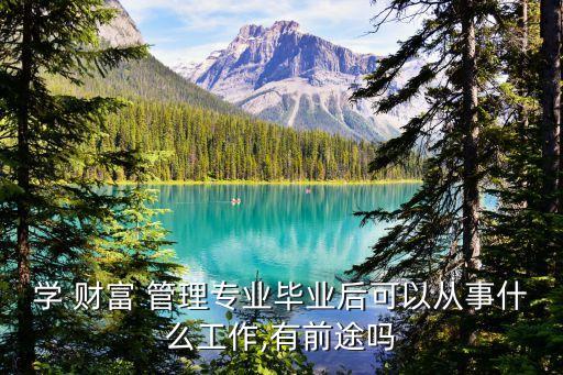 學(xué) 財(cái)富 管理專(zhuān)業(yè)畢業(yè)后可以從事什么工作,有前途嗎