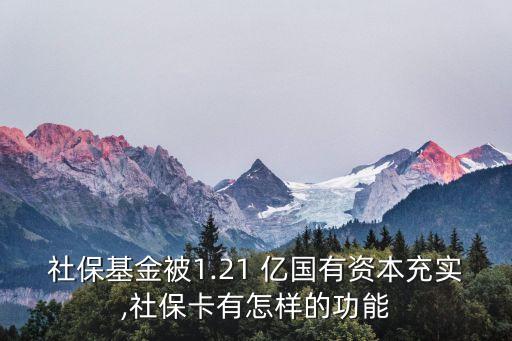 社?；鸨?.21 億國有資本充實,社?？ㄓ性鯓拥墓δ? class=