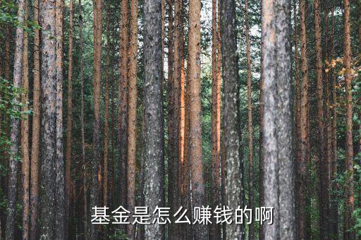 強(qiáng)勢基金收益,基金收益每天什么時(shí)間更新