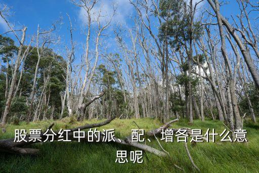  股票分紅中的派、配、增各是什么意思呢