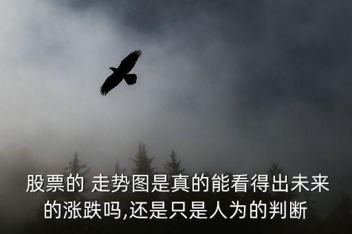 股票的 走勢(shì)圖是真的能看得出未來的漲跌嗎,還是只是人為的判斷