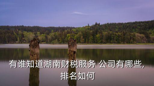 國內融資租賃公司排名,山東省融資租賃公司排名