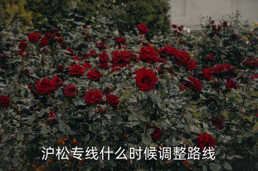 滬松專線什么時(shí)候調(diào)整路線