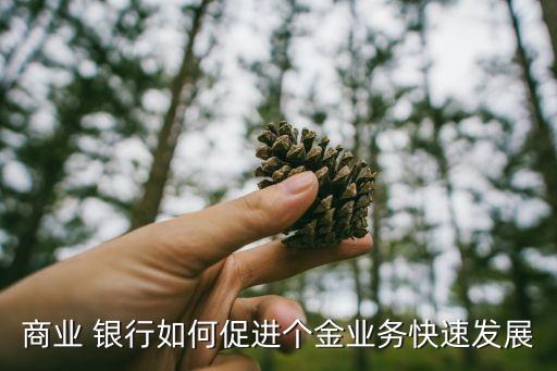 商業(yè) 銀行如何促進個金業(yè)務(wù)快速發(fā)展