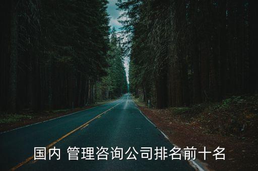 國內 管理咨詢公司排名前十名