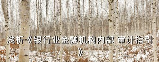 淺析《銀行業(yè)金融機(jī)構(gòu)內(nèi)部 審計指引》
