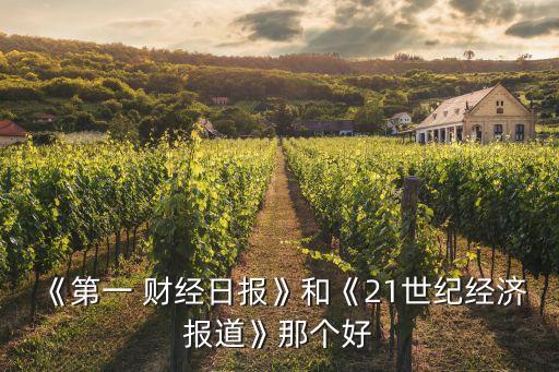 《第一 財經(jīng)日報》和《21世紀(jì)經(jīng)濟報道》那個好
