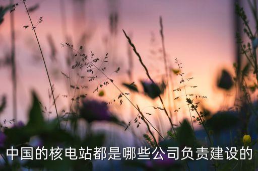 中國的核電站都是哪些公司負責建設的