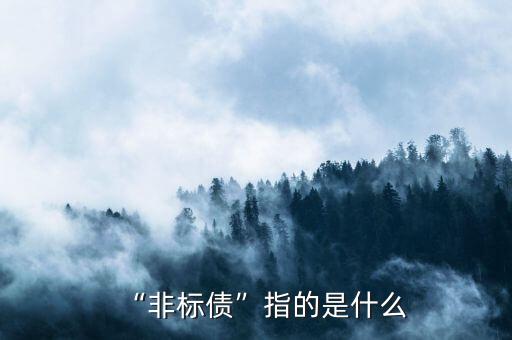 “非標債”指的是什么