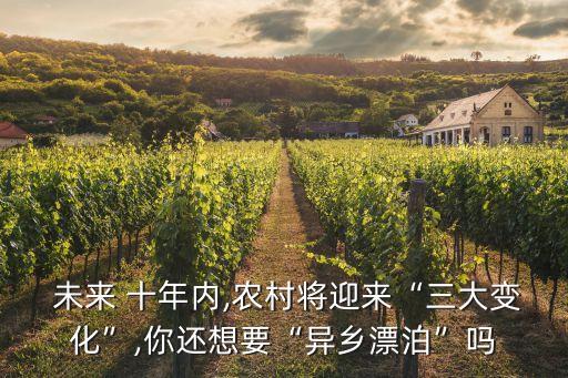 農業(yè)投資未來十年,中國未來十年農業(yè)發(fā)展趨勢