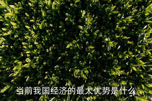 當前我國經濟的最大優(yōu)勢是什么