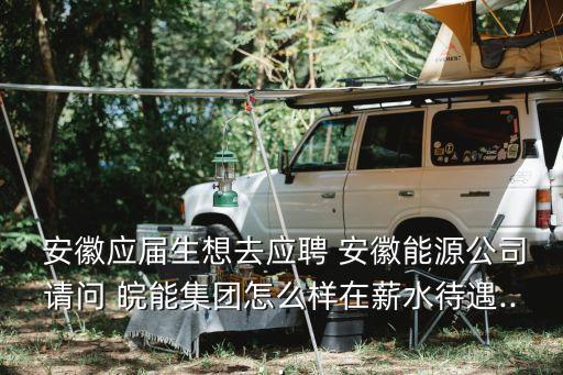 安徽皖能股份有限公司總經(jīng)理,安徽江淮汽車(chē)集團(tuán)股份有限公司總經(jīng)理