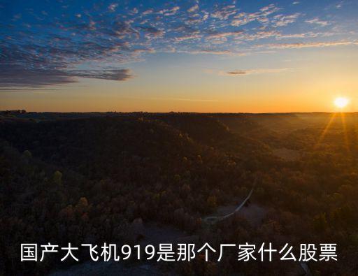 國(guó)產(chǎn)大飛機(jī)919是那個(gè)廠(chǎng)家什么股票