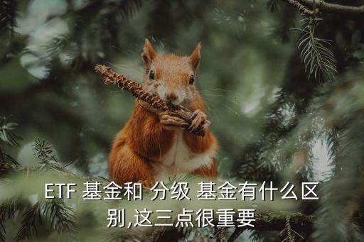 分級(jí)基金運(yùn)作方式分類(lèi),股票型分級(jí)基金按什么分類(lèi)
