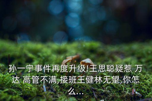 孫一寧事件再度升級(jí)!王思聰疑惹 萬(wàn)達(dá) 高管不滿,接班王健林無望,你怎么...