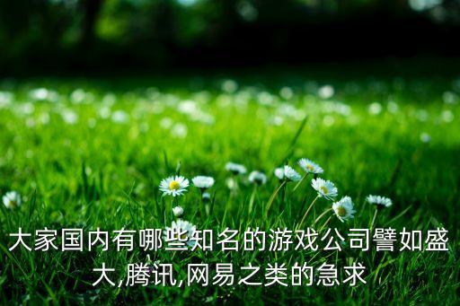 大家國(guó)內(nèi)有哪些知名的游戲公司譬如盛大,騰訊,網(wǎng)易之類的急求