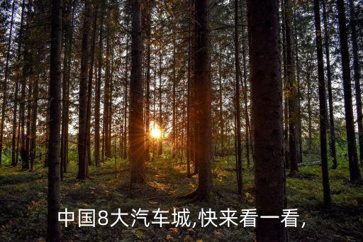 中國(guó)8大汽車城,快來看一看,