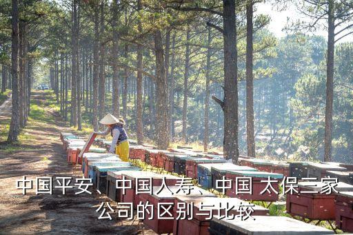 中國(guó)平安、中國(guó)人壽、中國(guó) 太保三家公司的區(qū)別與比較