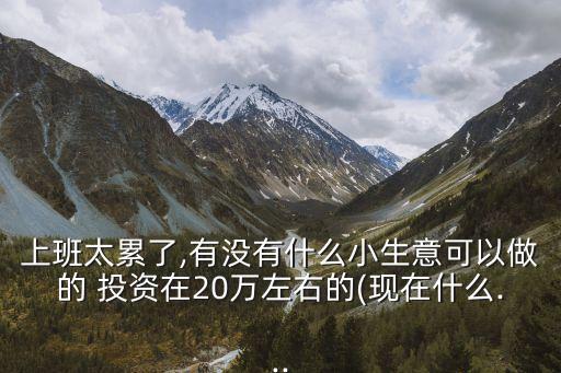 上班太累了,有沒有什么小生意可以做的 投資在20萬左右的(現在什么...
