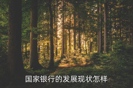 國家銀行的發(fā)展現狀怎樣