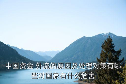 中國資金 外流的原因及處理對(duì)策有哪些對(duì)國家有什么危害