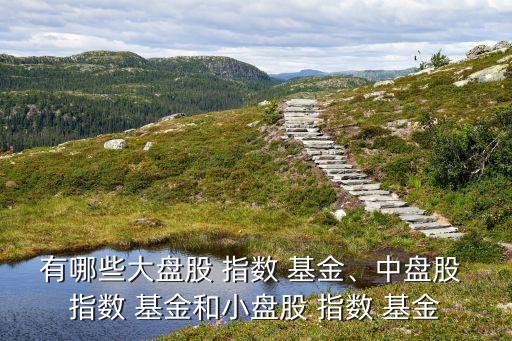 有哪些大盤股 指數(shù) 基金、中盤股 指數(shù) 基金和小盤股 指數(shù) 基金