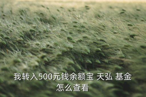 我轉入500元錢余額寶 天弘 基金怎么查看