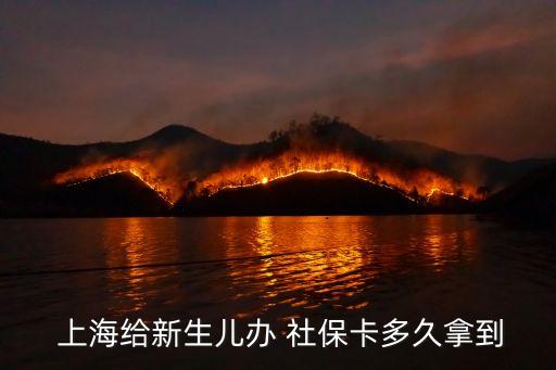 上海社?？I(lǐng)取時(shí)間,外地人上海社保卡領(lǐng)取流程