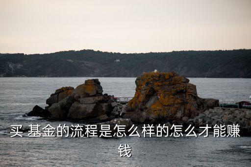 買(mǎi) 基金的流程是怎么樣的怎么才能賺錢(qián)