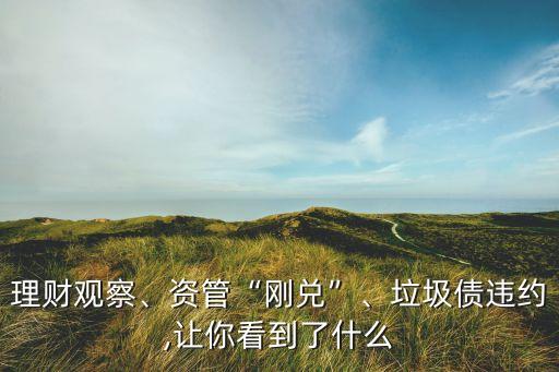 理財觀察、資管“剛兌”、垃圾債違約,讓你看到了什么