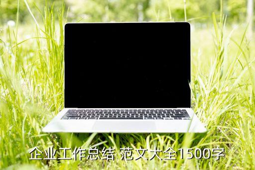 企業(yè)工作總結 范文大全1500字