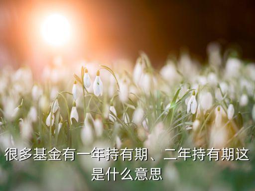 很多基金有一年持有期、二年持有期這是什么意思