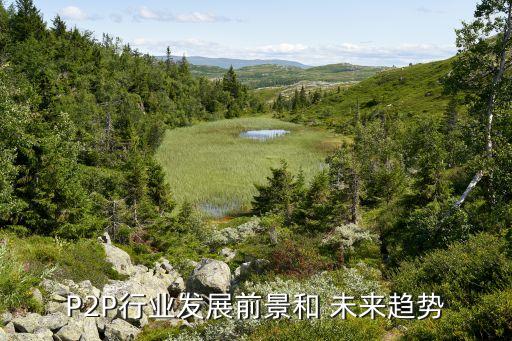 P2P行業(yè)發(fā)展前景和 未來趨勢(shì)
