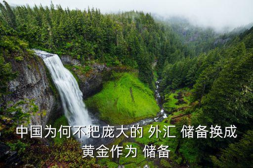 中國為何不把龐大的 外匯 儲(chǔ)備換成黃金作為 儲(chǔ)備