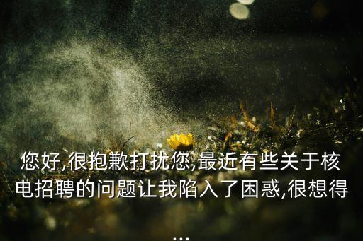 您好,很抱歉打擾您,最近有些關于核電招聘的問題讓我陷入了困惑,很想得...
