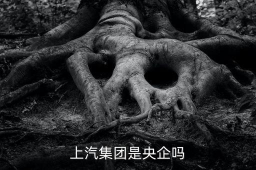 上海國資委直屬企業(yè),國資委直屬企業(yè)是什么級(jí)別