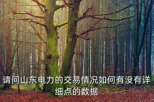 請問山東電力的交易情況如何有沒有詳細(xì)點(diǎn)的數(shù)據(jù)