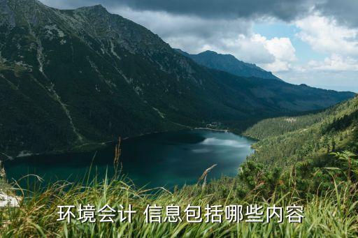  環(huán)境會計(jì) 信息包括哪些內(nèi)容