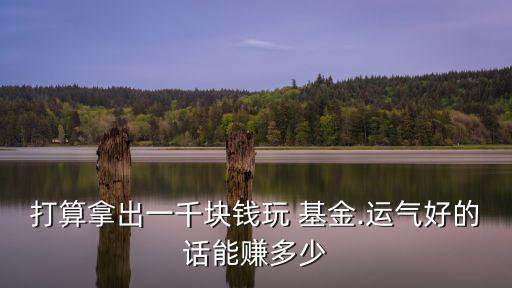 打算拿出一千塊錢(qián)玩 基金.運(yùn)氣好的話能賺多少