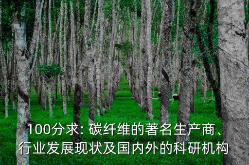 100分求: 碳纖維的著名生產(chǎn)商、行業(yè)發(fā)展現(xiàn)狀及國(guó)內(nèi)外的科研機(jī)構(gòu)
