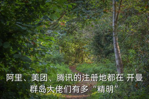 阿里、美團(tuán)、騰訊的注冊(cè)地都在 開曼群島大佬們有多“精明”