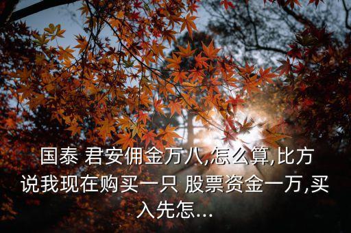  國(guó)泰 君安傭金萬(wàn)八,怎么算,比方說(shuō)我現(xiàn)在購(gòu)買(mǎi)一只 股票資金一萬(wàn),買(mǎi)入先怎...