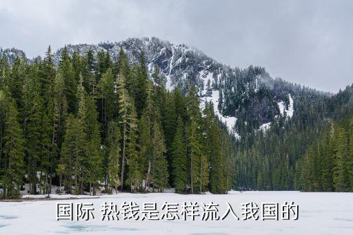 進出口公司熱錢
