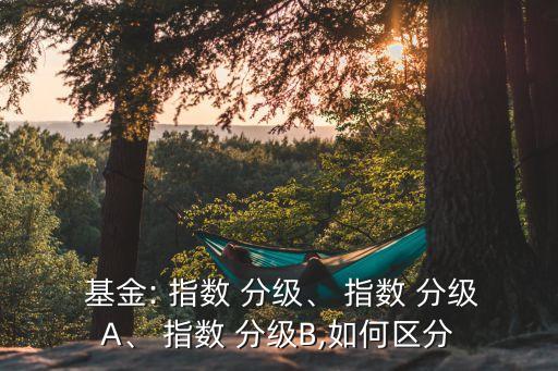  基金: 指數(shù) 分級(jí)、 指數(shù) 分級(jí)A、 指數(shù) 分級(jí)B,如何區(qū)分