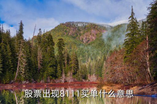  股票出現(xiàn)8111買(mǎi)單什么意思