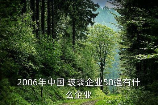 2006年中國 玻璃企業(yè)50強(qiáng)有什么企業(yè)